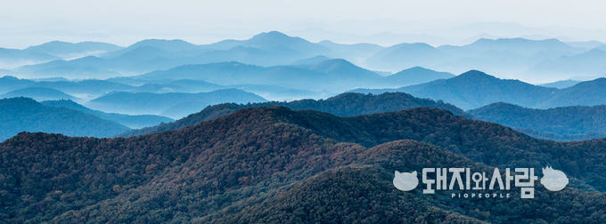 함평은 광주, 나주, 영광, 장성, 무안과 접경을 이루고 있으며 천혜의 자연환경을 가지고 있습니다@함평군