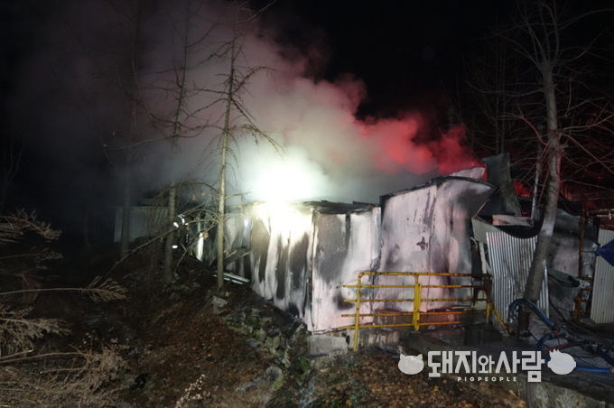 13일 충남 천안 돈사 화재@충남소방본부
