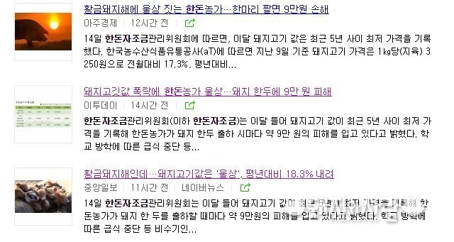 한돈자조금의 보도자료를 뉴스로 전하는 주요 언론 매체들@네이버 갈무리 