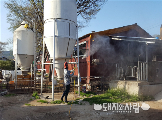 설 연휴 한돈협회-농식품부 공동 일제청소 및 특별소독 캠페인@대한한돈협회