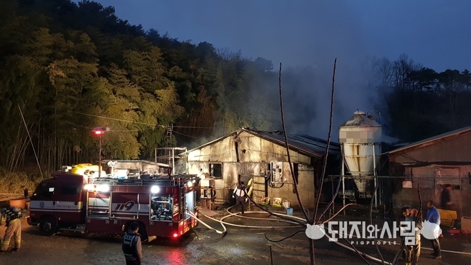 2일 충남 홍성 돈사 화재@홍성소방서