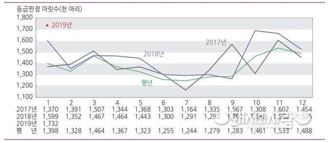 등급판정 마릿수 동향@연구원/축산물품질평가원