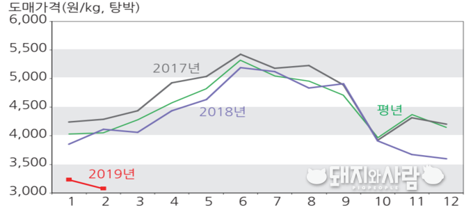 돼지 도매가격 동향(제주 제외)@연구원/축산물품질평가원