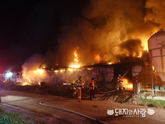 8일 전남 영광 농협 종돈개량사업소 화재@영광소방서