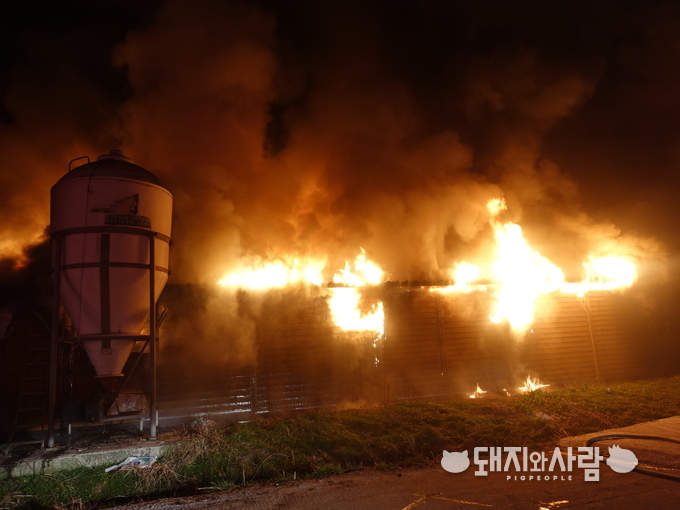 8일 전남 영광 농협 종돈개량사업소 화재@영광소방서