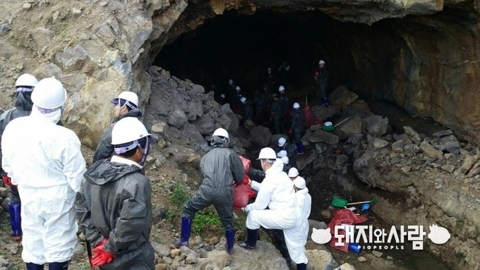 2017년 제주 용암동굴 돼지분뇨 무단 방류 사건 