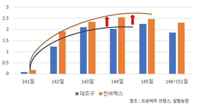 141일령 첫 출하로 인한 절식 이후 컨버맥스 섭취군의 사료 섭취량 회복이 빠르게 일어나고 있습니다