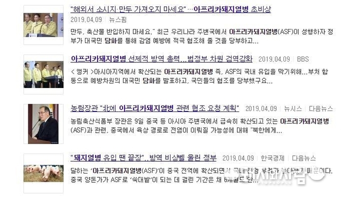 정부 담화문 관련 기사들@다음 기사 검색 갈무리