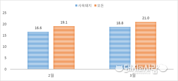 중국 당국이 밝힌 2월과 3월 전년대비 사육돼지와 모돈 감소율(%)@중국 농업농촌부