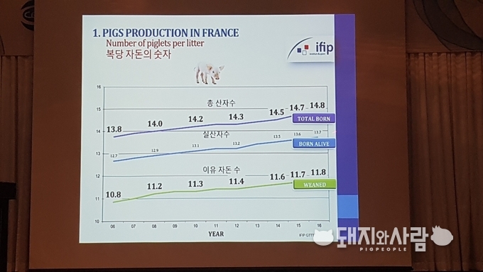 프랑스의 복당 자돈 숫자, 16년 기준 이유자돈 수는 11.8두 입니다@돼지와사람 
