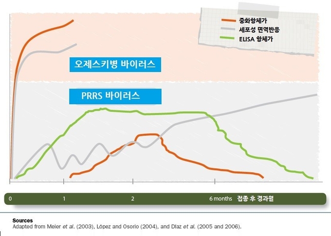 오제스키병 바이러스 백신은 PRRS 바이러스와 비교했을 때 초기에 중화항체가 형성되는 것을 확인할 수 있다.