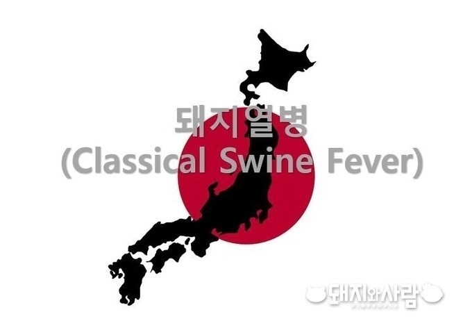 돼지열병(CSF)는 ASF와 원인체는 다르지만, 질병 양상은 비슷합니다@돼지와사람