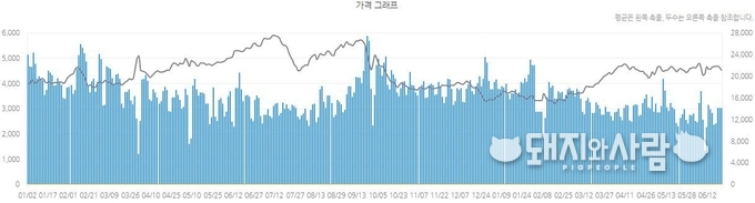 최근 출하두수 및 가격(2018년 1월~2019년 6월)@축산물품질평가원