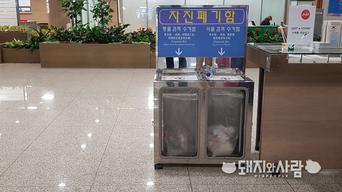 인천항의 휴대축산물 자진폐기함@돼지와사람