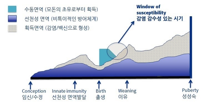 그림. 돼지의 면역시스템 성숙단계: 돼지의 면역은 출생 전 모돈의 태중에서부터 성숙하며, 출생 후 몇주간은 초유에서 받은 면역의 도움을 받는다.