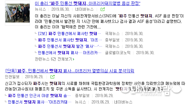 6월 29~30일 파주 야생멧돼지 사체 발견 관련 기사들@네이버 뉴스 갈무리