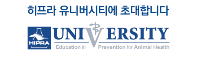히프라 유니버시티는 히프라가 제공하는 전문가 교육 프로그램@히프라