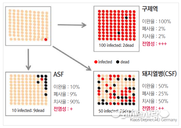 ASF와 구제역, 돼지열병의 이완율(유병율), 폐사율, 치사율 비교@전수동 수의사(피그매니저, 바이엘 축산기술 8월호)