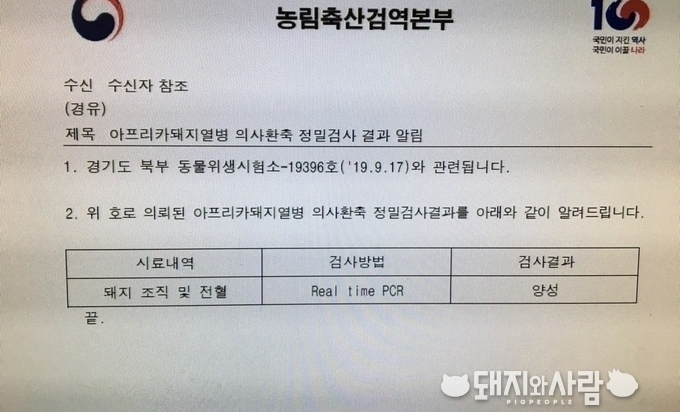17일 첫 ASF 확진 판정@검역본부 정밀검사 결과 중