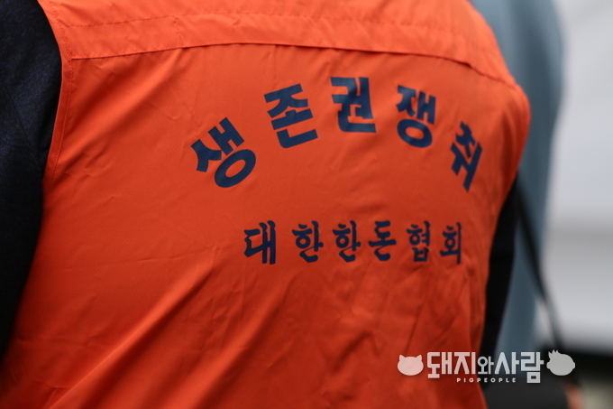 생존권이 걸린 ASF 사태가 한 달째 진행 중 입니다@돼지와사람