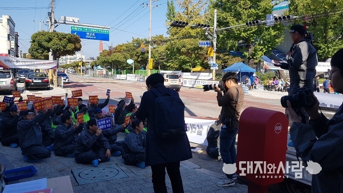 14일 연천 양돈농가의 일방적 안락사 반대 집회@돼지와사람 