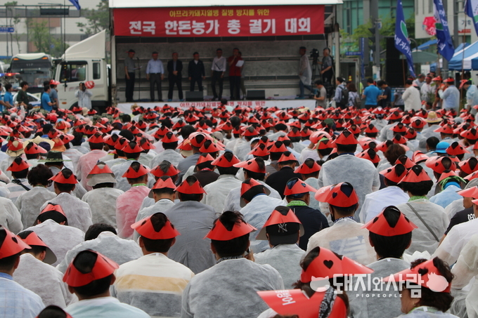 올 6월 19일 한돈산업은 야생멧돼지 개체수 감축 등을 환경부에 촉구하는 총궐기대회를 열었습니다@돼지와사람 