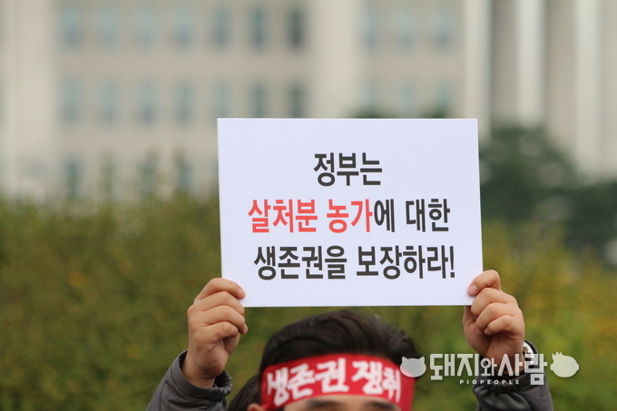 정부는 살처분 농가에 대한 생존권을 보장하라@돼지와사람 
