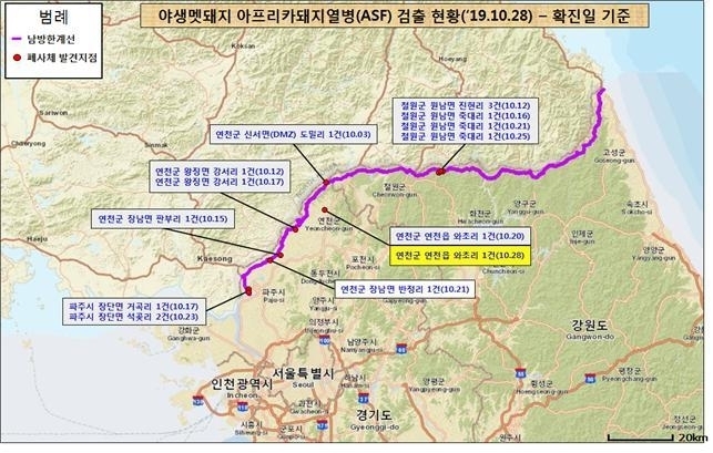 ASF 감염멧돼지 검출 현황. 철원군에는 아직까지 사육돼지에서 ASF 양성 건은 없습니다@환경부