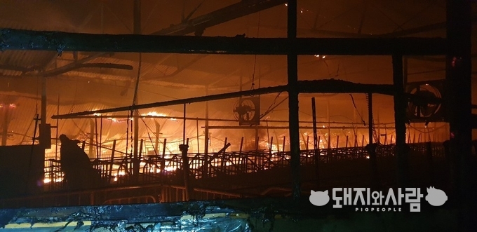28일 경남 밀양 돈사 화재@경남소방본부