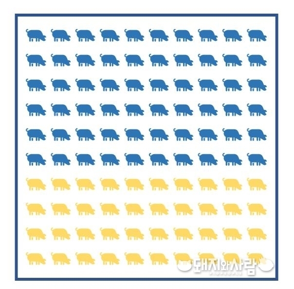 항체양성률 60% 돼지. 16마리 샘플을 어떻게 하느냐에 따라 결과가 달라질 수 있습니다@돼지와사람 
