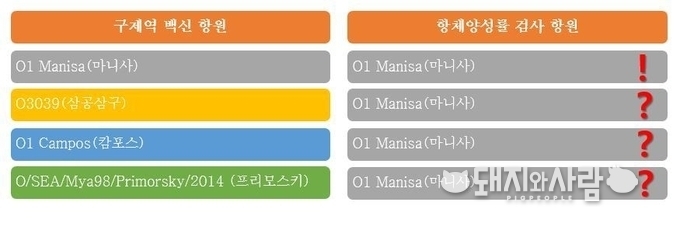 구제역 백신 종류에 상관없이 현행 마니사 항원으로 항체양성률 검사가 실시되고 있습니다@돼지와사람 