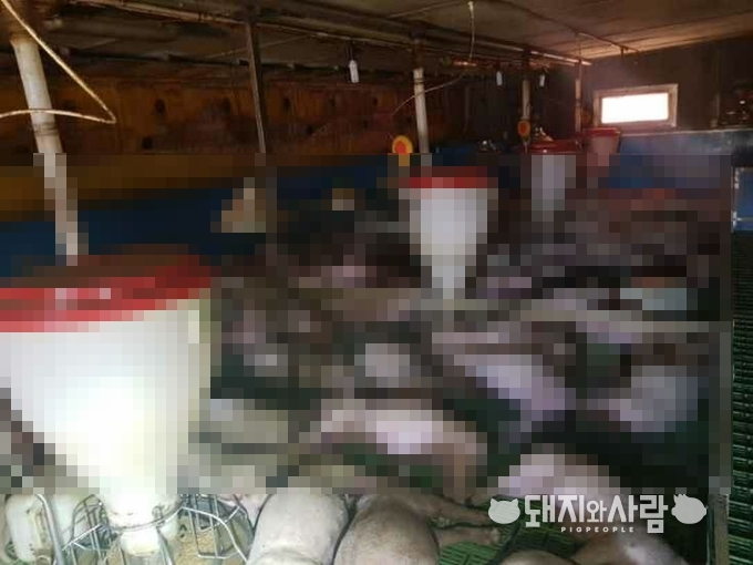 19일 충북 충주 돈사 화재@충주소방서