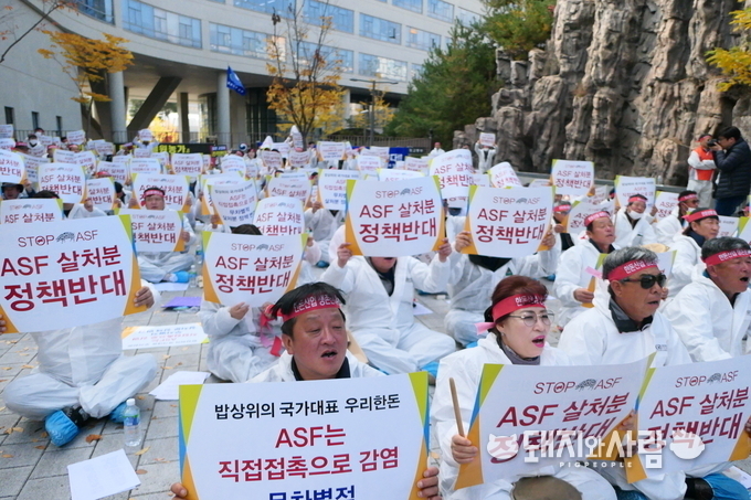 2019년 11월 5일 '철원 한돈 농가 생존권 사수 궐기대회'@돼지와사람