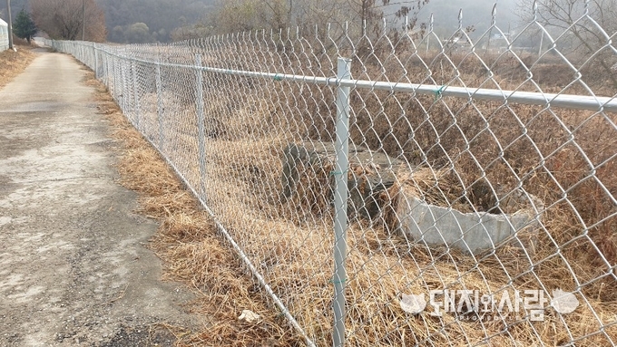 연천에 설치된 2차 울타리@돼지와사람 