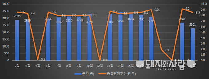 1월 일별 등급판정두수(단위 만 두)와 돈가(제주 및 등외 제외)@축산물품질평가원 자료 편집