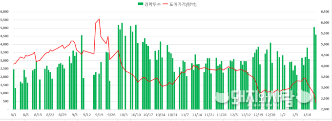 돼지 경락두수와 돈가 변화
