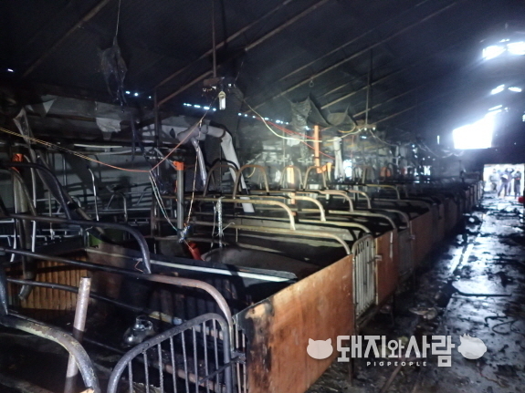 1월 29일 충남 홍성 돈사 화재@홍성소방서