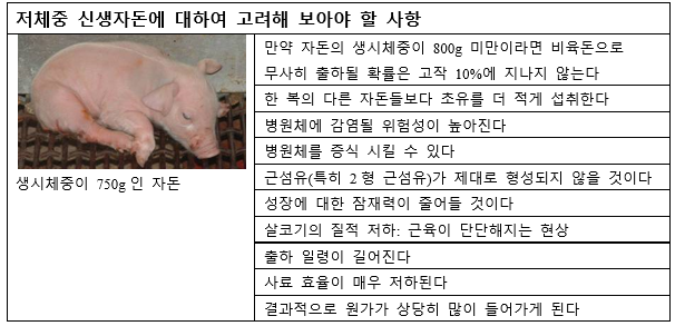 저체중 신생자돈에 대하여 고려해 보아야 할 사항@존 카 박사