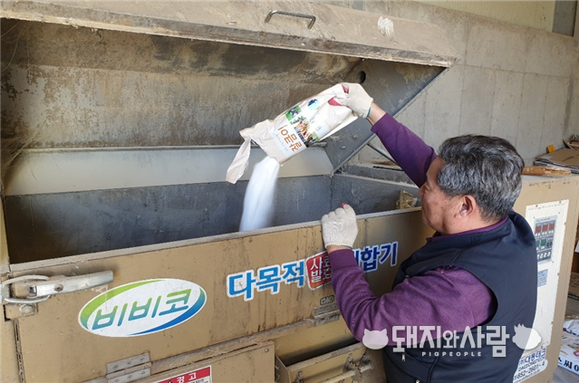 분말 유산균 제제를 사료배합기에 첨가하는 농가@경기도 