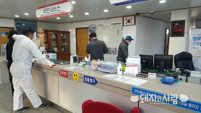 영천시 양돈농가들이 관공서를 소독하고 있습니다@영천시 양돈농가