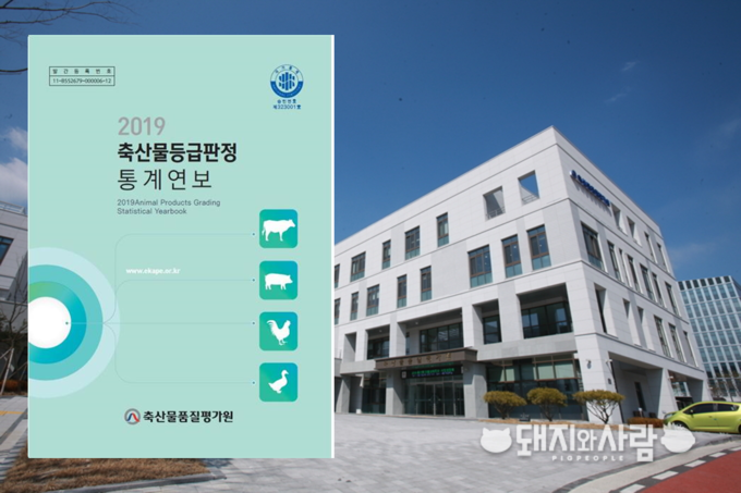 축평원이 지난 13일 2019 축산물등급판정 통계연보를 발간했습니다@축평원