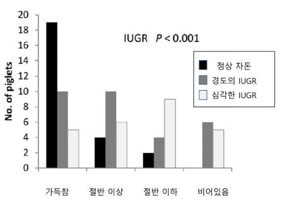 그림 2. 생후 24시간 뒤 자돈의 위 내용물의 양 비교. IUGR 자돈들은 초유를 충분히 섭취하지 않는 개체가 많으며, IUGR의 정도가 심할수록 그 비율이 증가한다(C. Amdi et al, 2013).