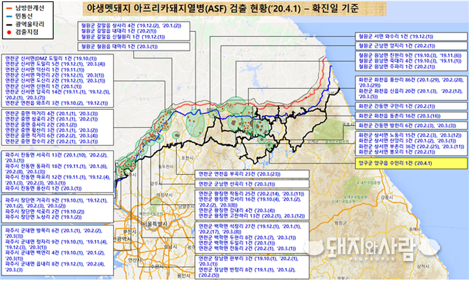ASF 야생멧돼지 발견 현황(4월 1일, 확진일 기준)@환경부