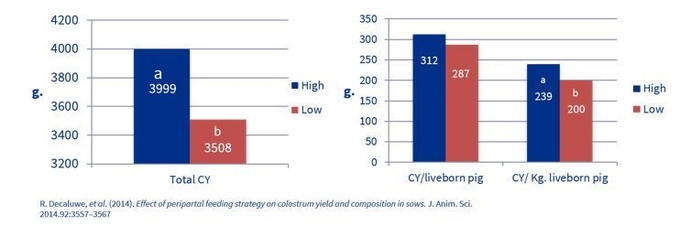 그림3. 임신 108일~분만 3일 시기 사료를 많이 급여한 그룹(파란색, 4kg/일 급여)과 적게 급여한 그룹(빨간색, 1.5kg/일 급여)의 총 초유 생산량(CY) 및 자돈 두당(CY/liveborn pig), 단위체중당(CY/kg.liveborn pig) 초유 생산량 차이