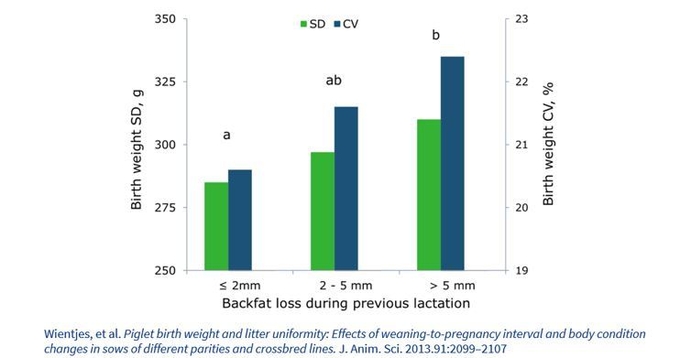 그림2. 포유 중 체손실이 클수록 다음 산차의 생시체중 편차가 커짐