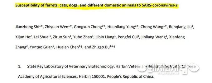 돼지에는 코로나19 바이러스가 감수성이 없다는 연구 결과가 나왔습니다@Susceptibility of ferrets, cats, dogs, and different domestic animals to SARS-coronavirus-2, Harbin Veterinary Research Institute, 2020