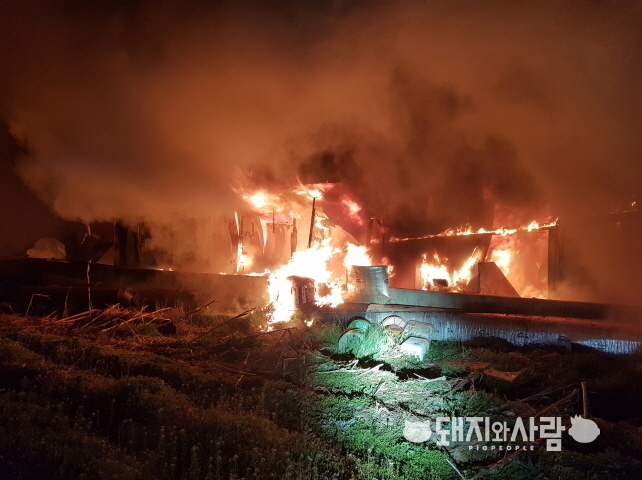 7일 충남 홍성 돈사 화재@홍성소방서