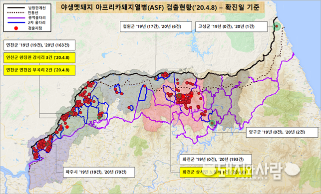 8일에도 연천 부곡리에 2건의 ASF 멧돼지가 확인되었습니다@환경부 