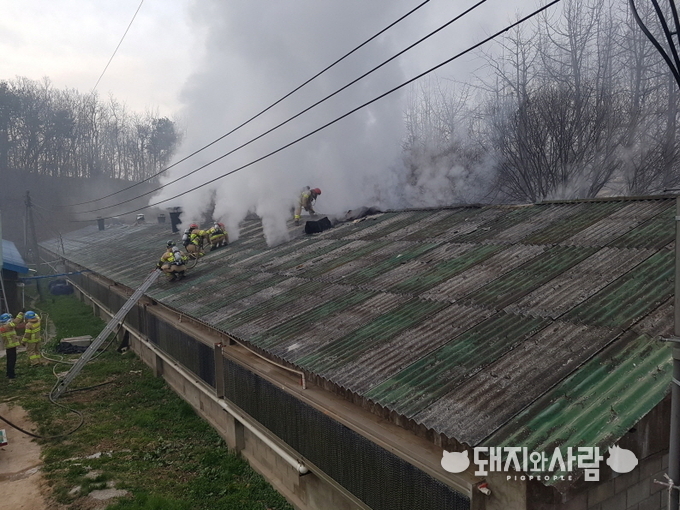 11일 충남 천안 돈사 화재@충남소방본부