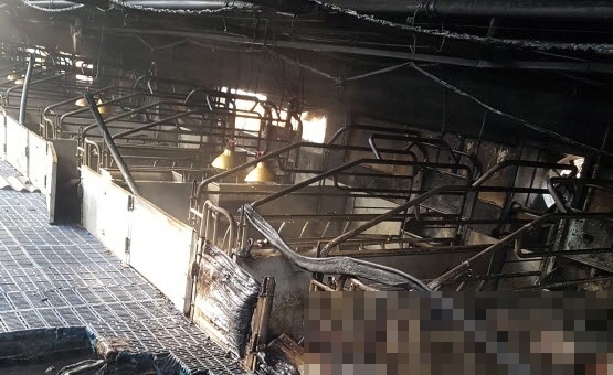 11일 충남 천안 돈사 화재@충남소방본부
